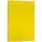 JAM Paper Matte 11" x 17" 24lb. Paper, 100 Sheets
